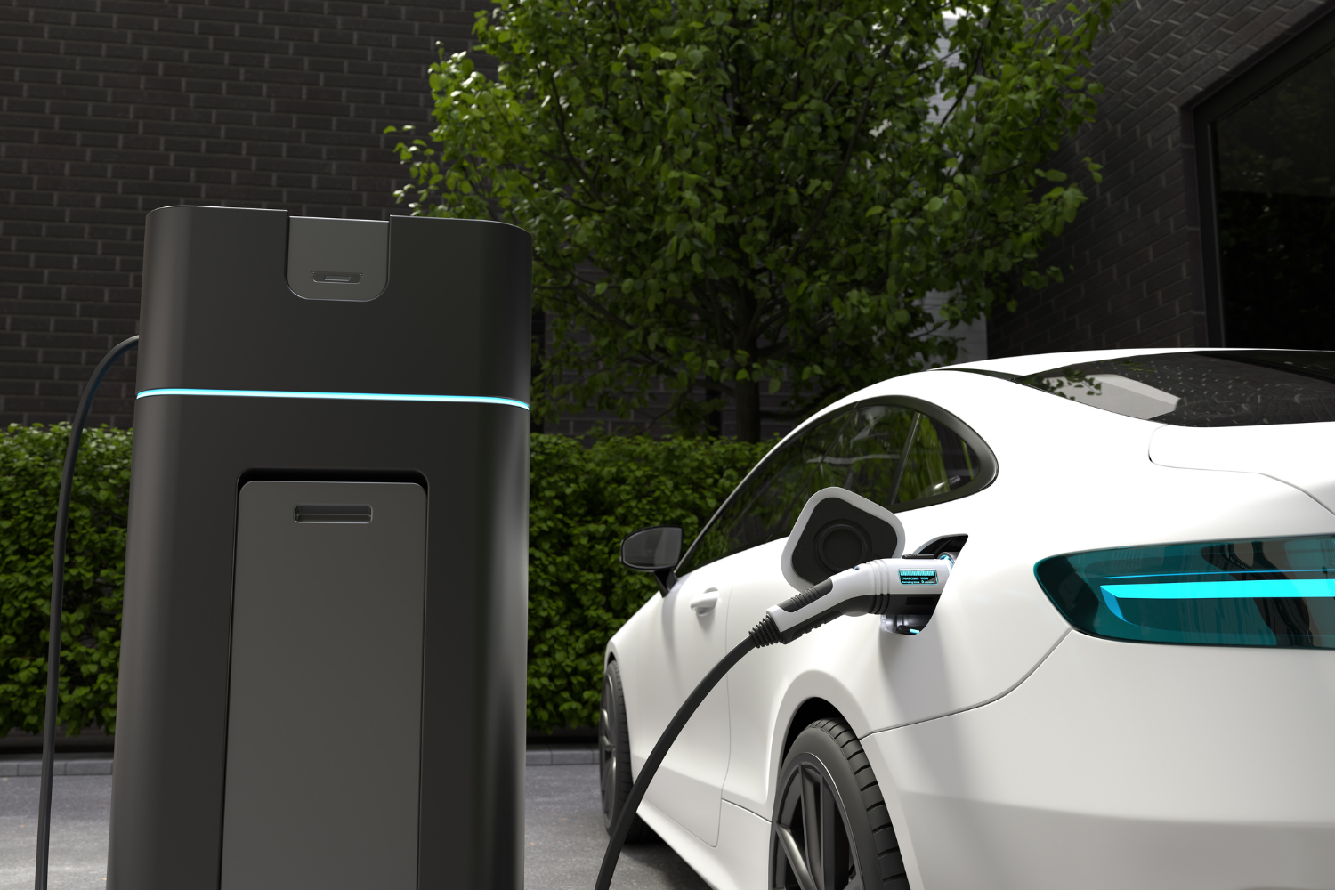 EV